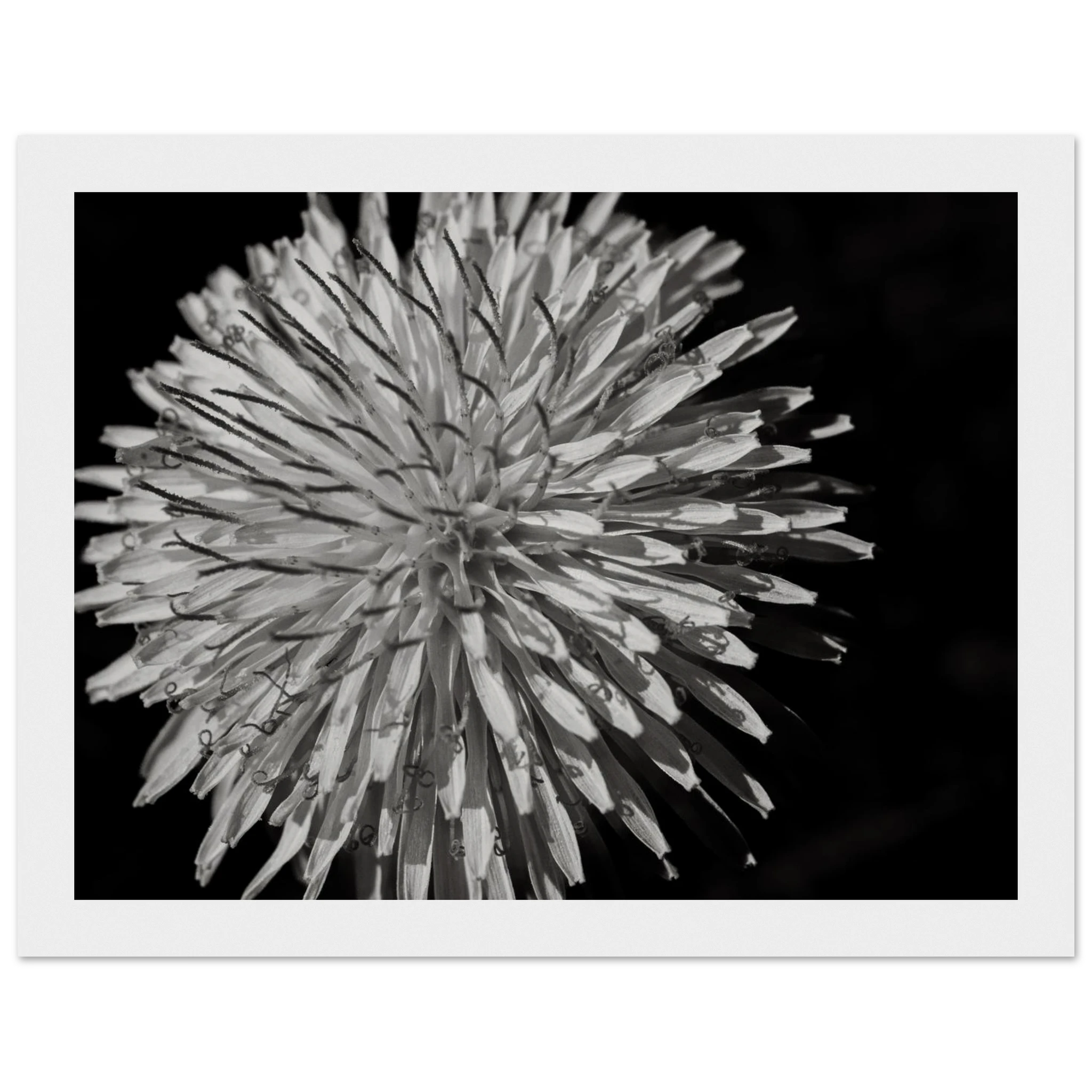004baecc-f994-4b2a-ba3d-acf3ef88f3a3