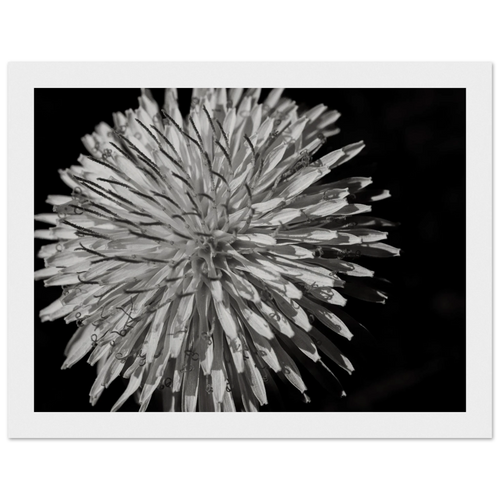 004baecc-f994-4b2a-ba3d-acf3ef88f3a3