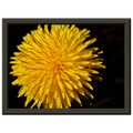 008cf8fb-770b-4f04-8409-17d658eb1234
