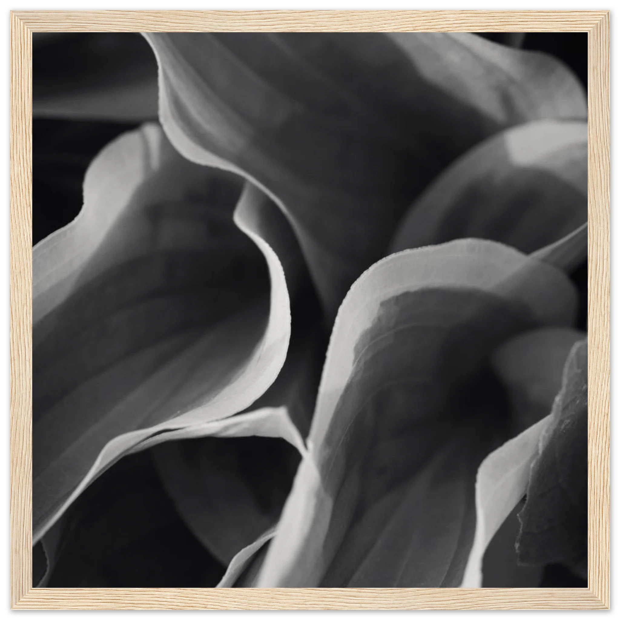 0236331f-78b9-471b-b020-5d196805251c