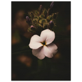 02724634-dda0-42cc-9df4-4cb5b76d2626