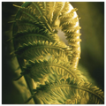 0277c8e4-45ca-4ab1-95bd-bd26b6ee5c20