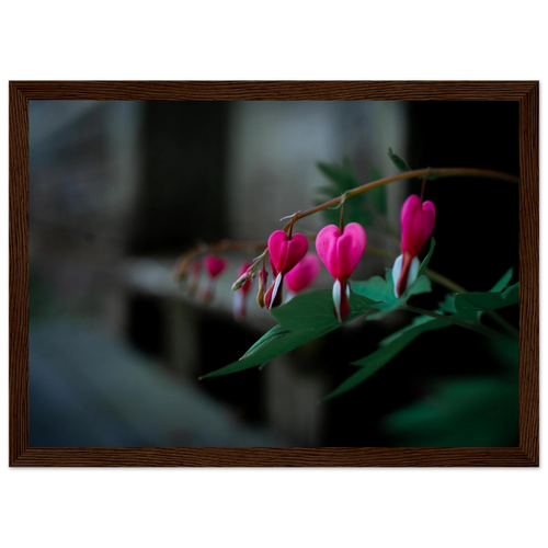 02a78486-9db1-43ec-982e-f9d94646b9ee