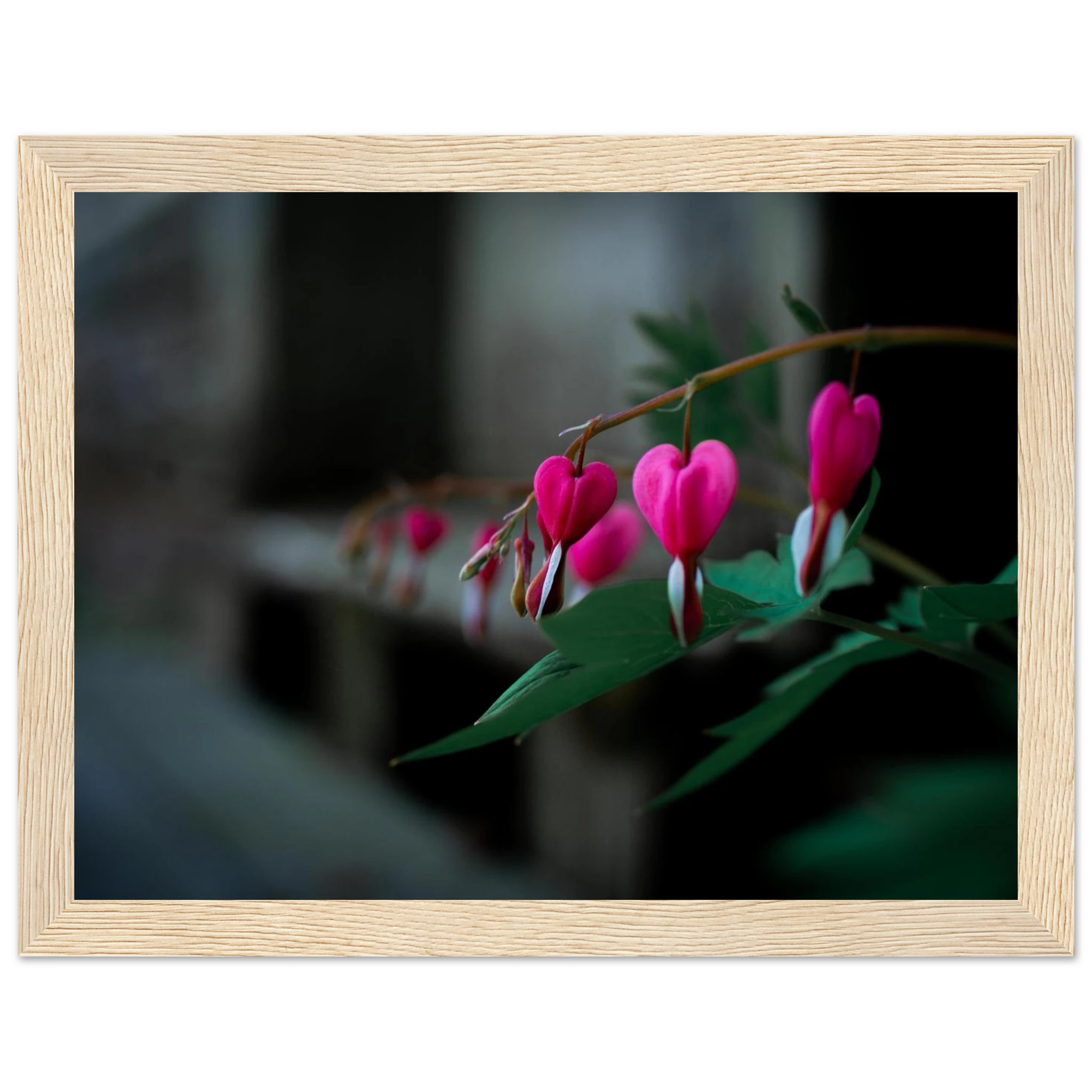 03d14a59-b980-40a5-b2af-3a8f29aa3eee