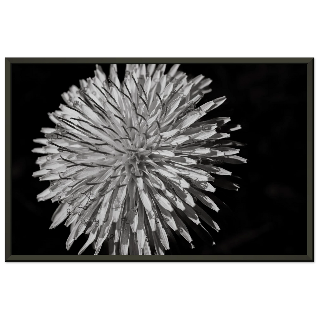 04aa2469-8dc5-4233-868d-3e4e795a20f6
