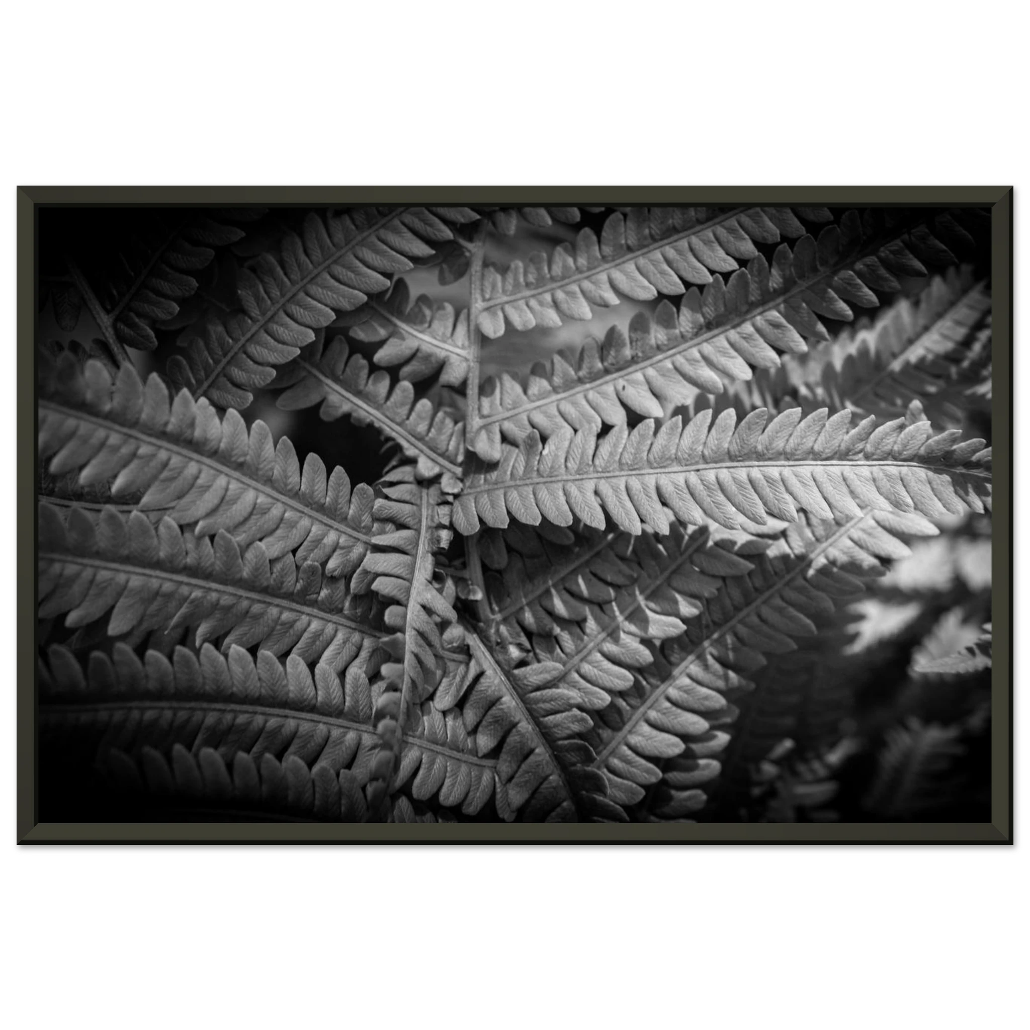 05ba3aff-be53-4be7-8654-bed4cc42262e