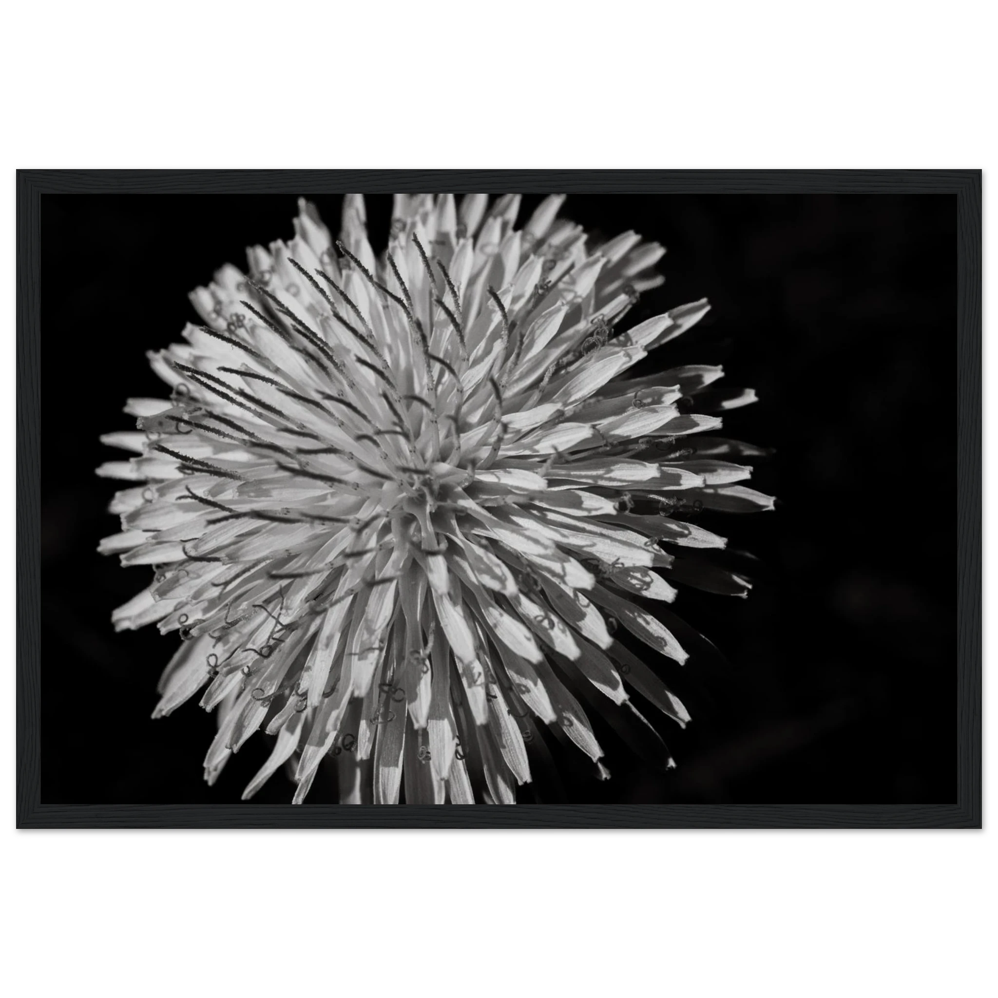 061c8773-85bc-4b92-8393-56a81543905d