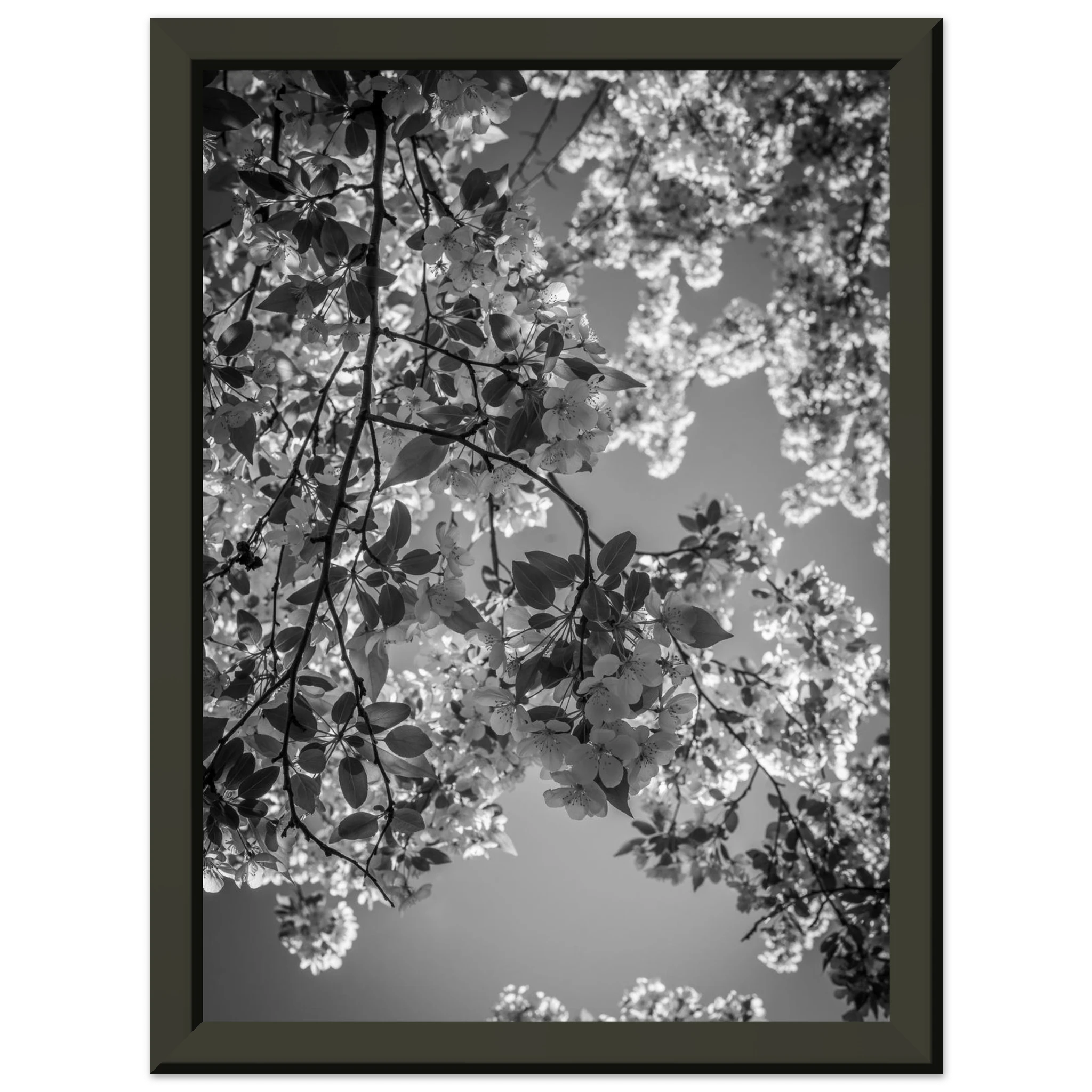 06e03990-ff29-42a3-a353-70011cc3d121