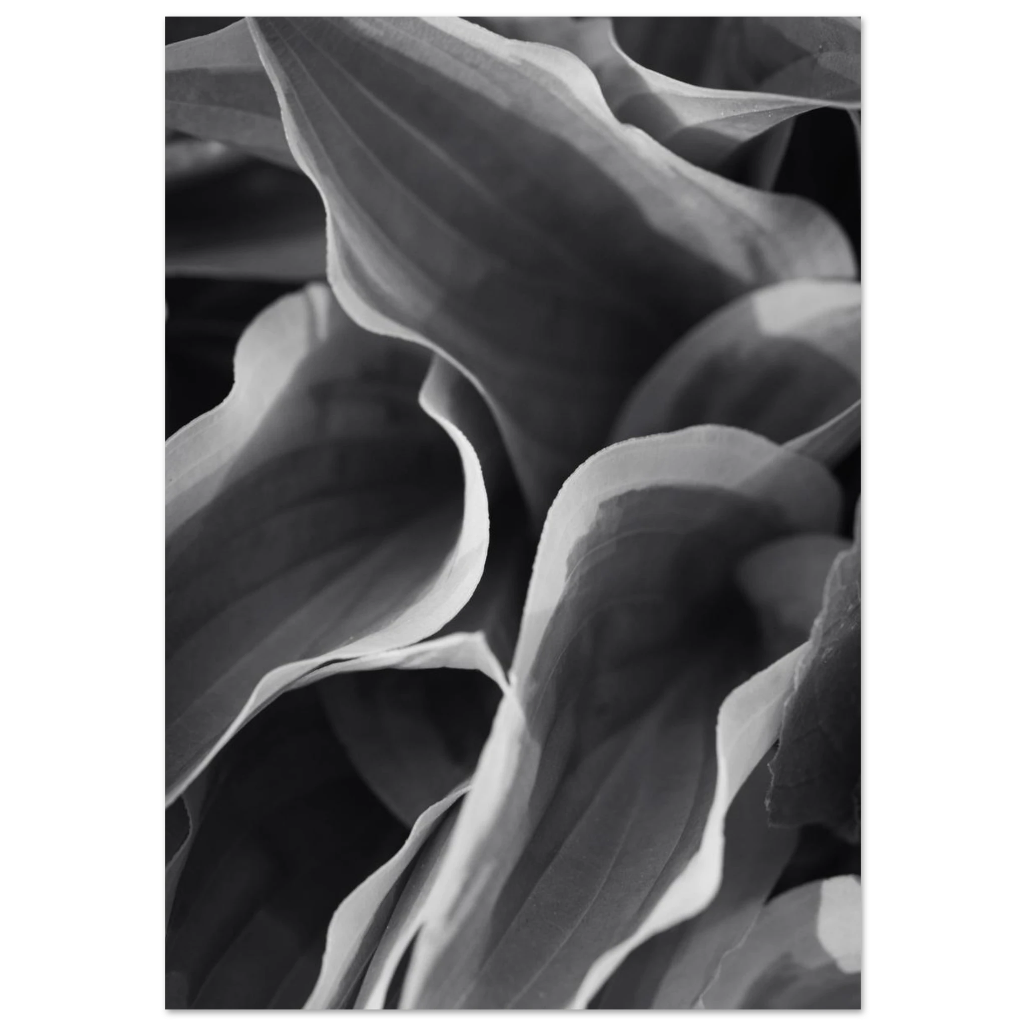 07393170-dd07-40e3-b821-0502ede0cb5f