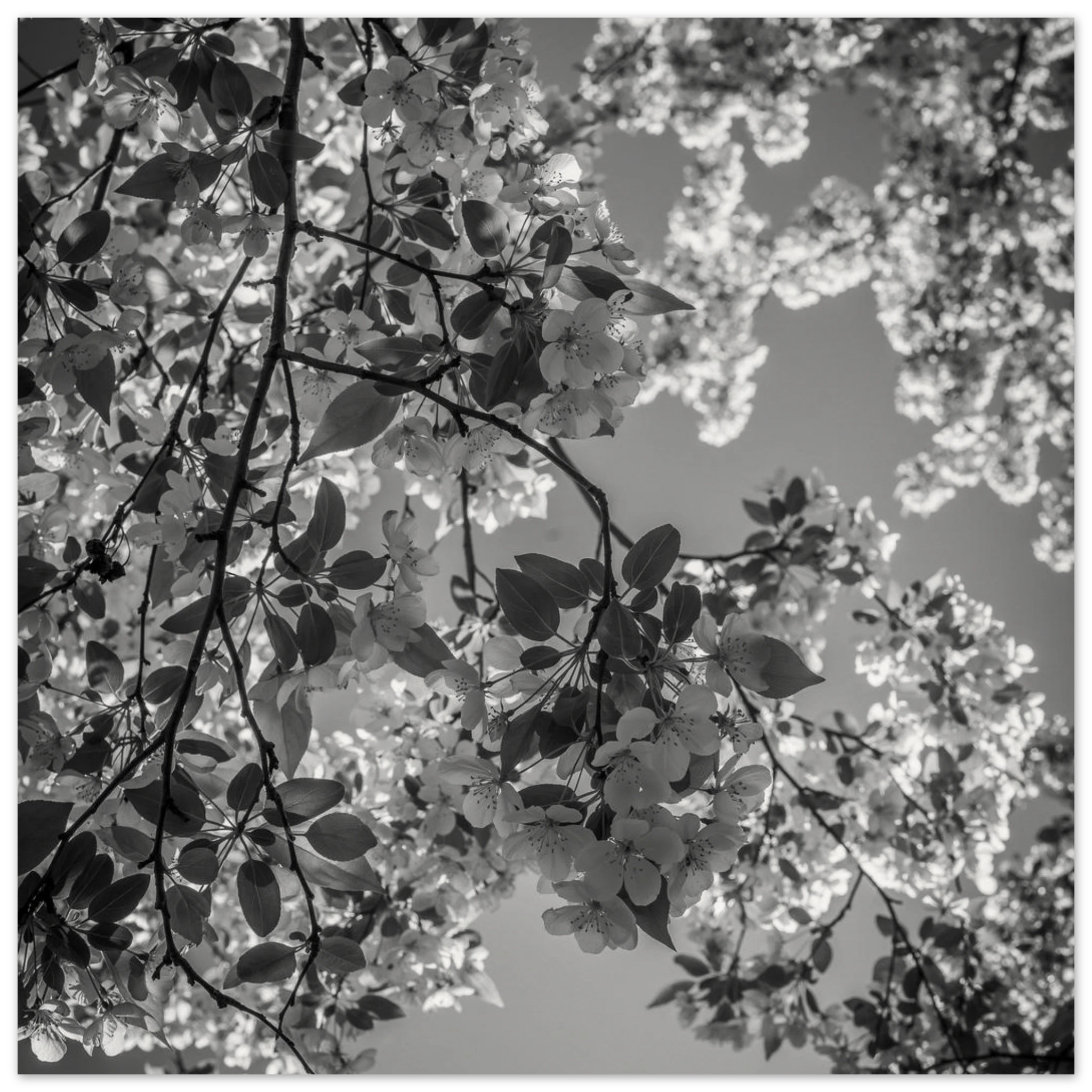 07c0357f-e4a8-4214-8ccc-5213e2b85714