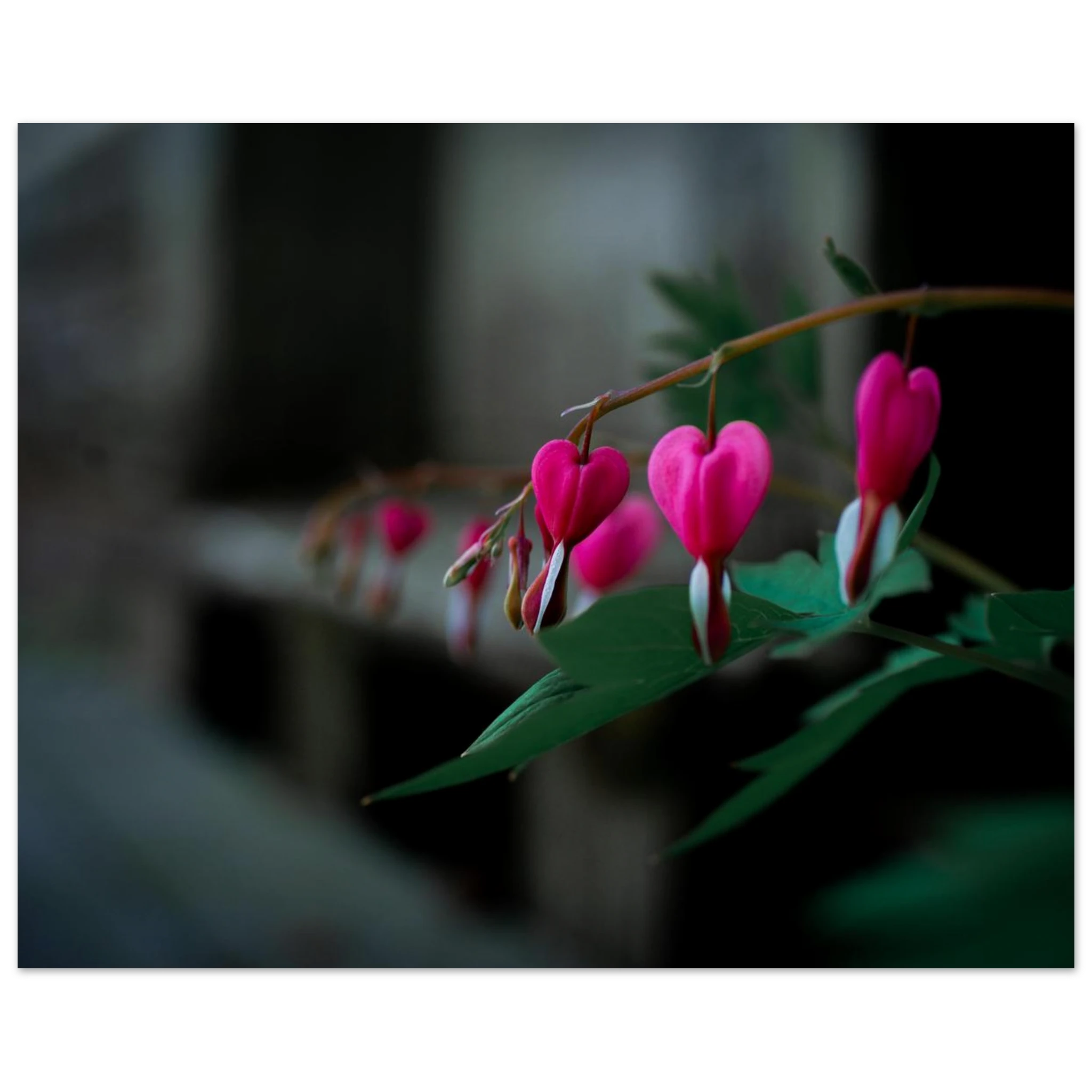 0839497c-4cb7-408d-90ac-6bfd18dd2a33