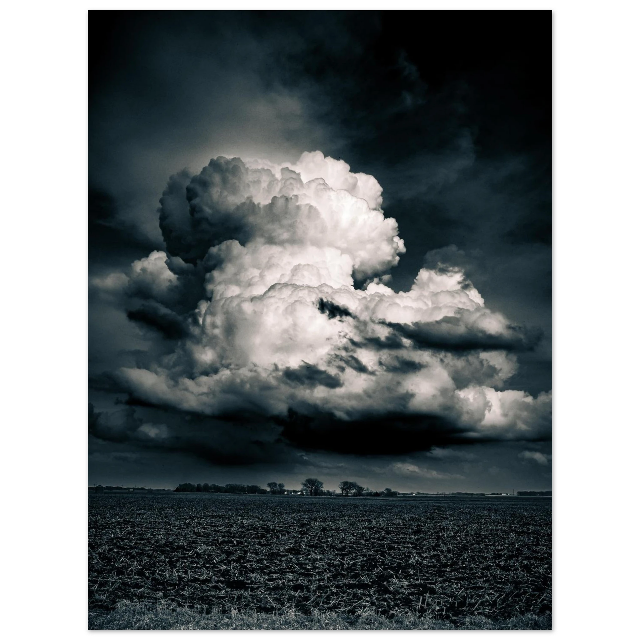 0898d167-e997-426f-9654-5f0348d2f558
