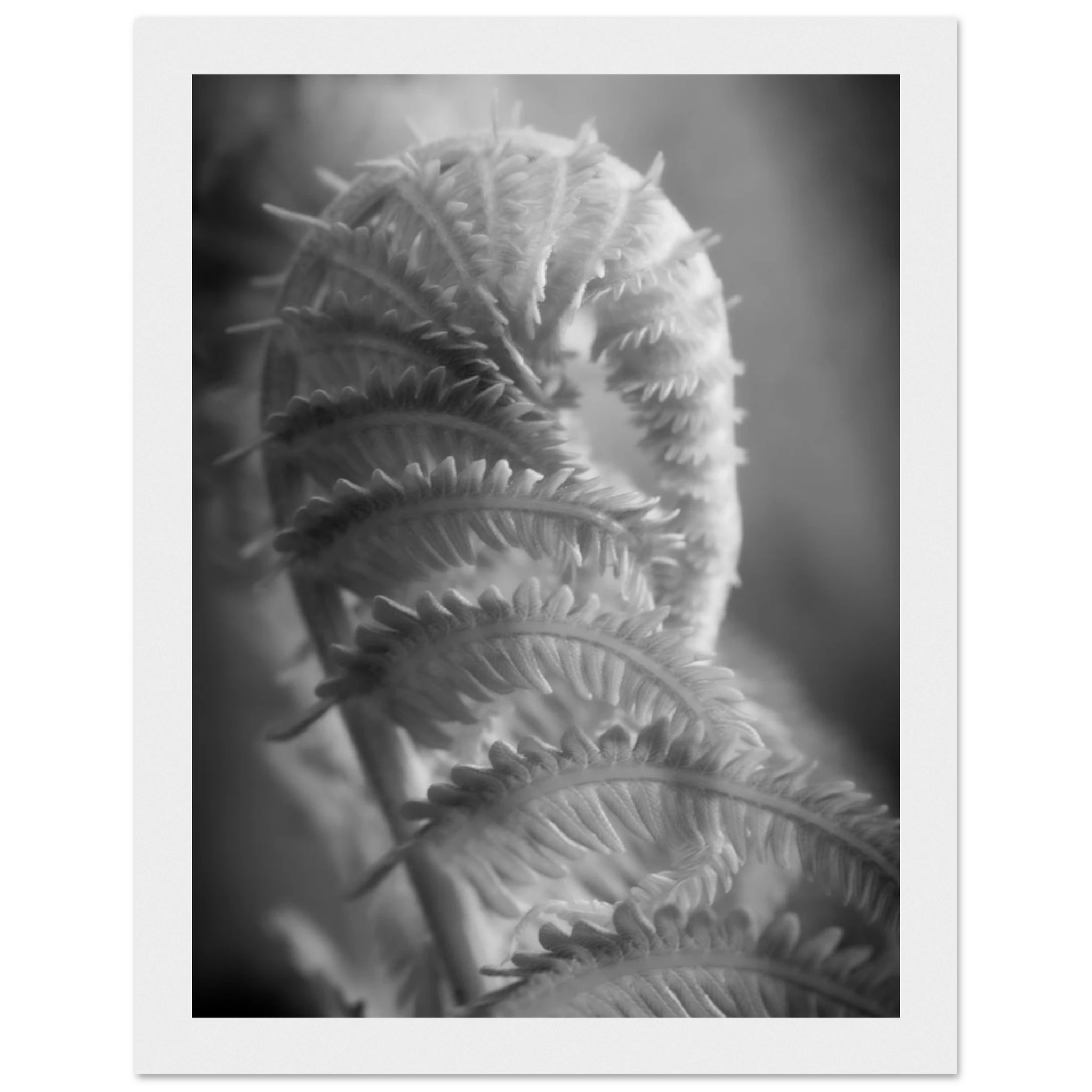 0955f732-328e-4c82-b725-6023c2d3c159