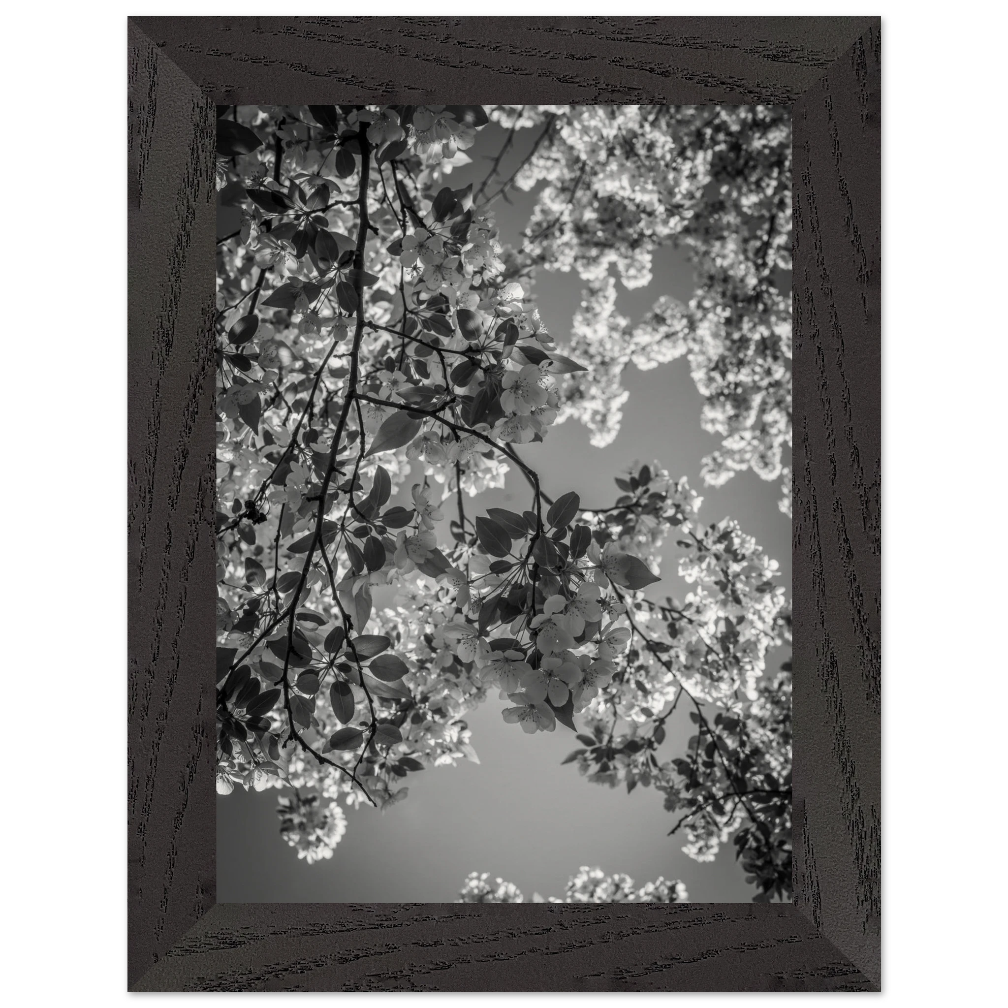 09f2854e-6451-4126-aa0d-9248dfd2cf66