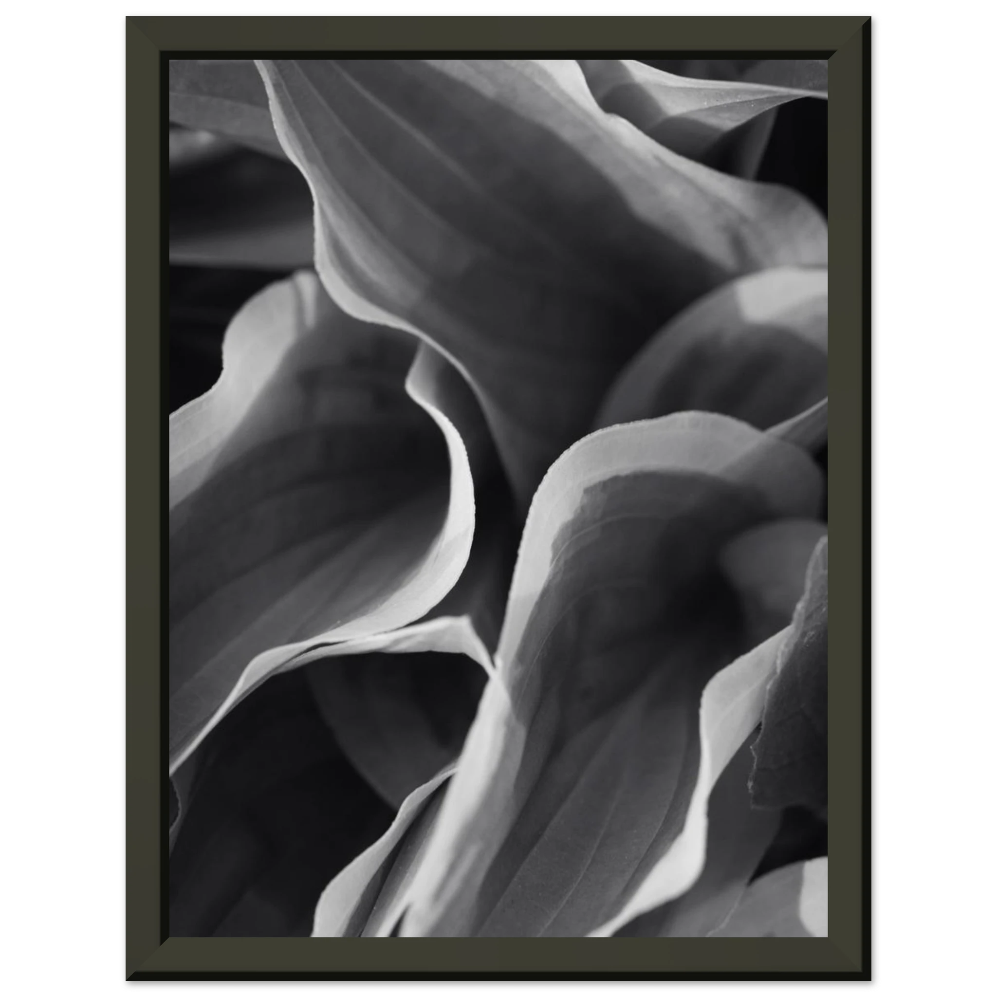 0b3f0ec7-f80d-41f4-afb7-8c83632e7b41