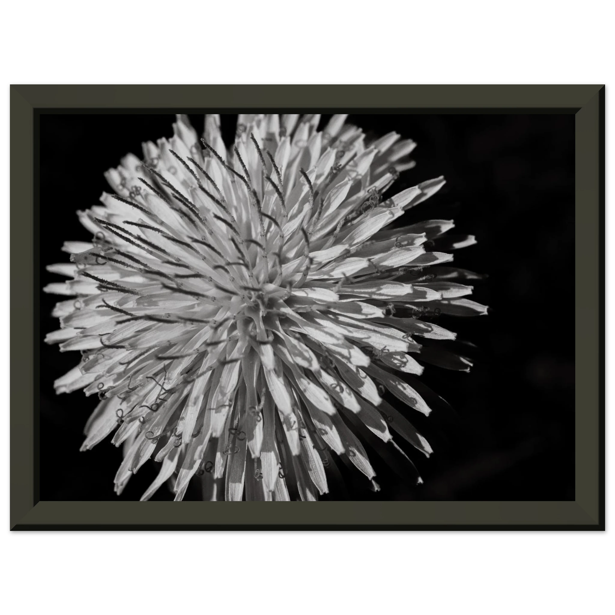 0b539986-367b-4fa6-a027-4975fe1da855