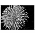 0b92b6ba-6847-41bf-a988-1af79d557fd9