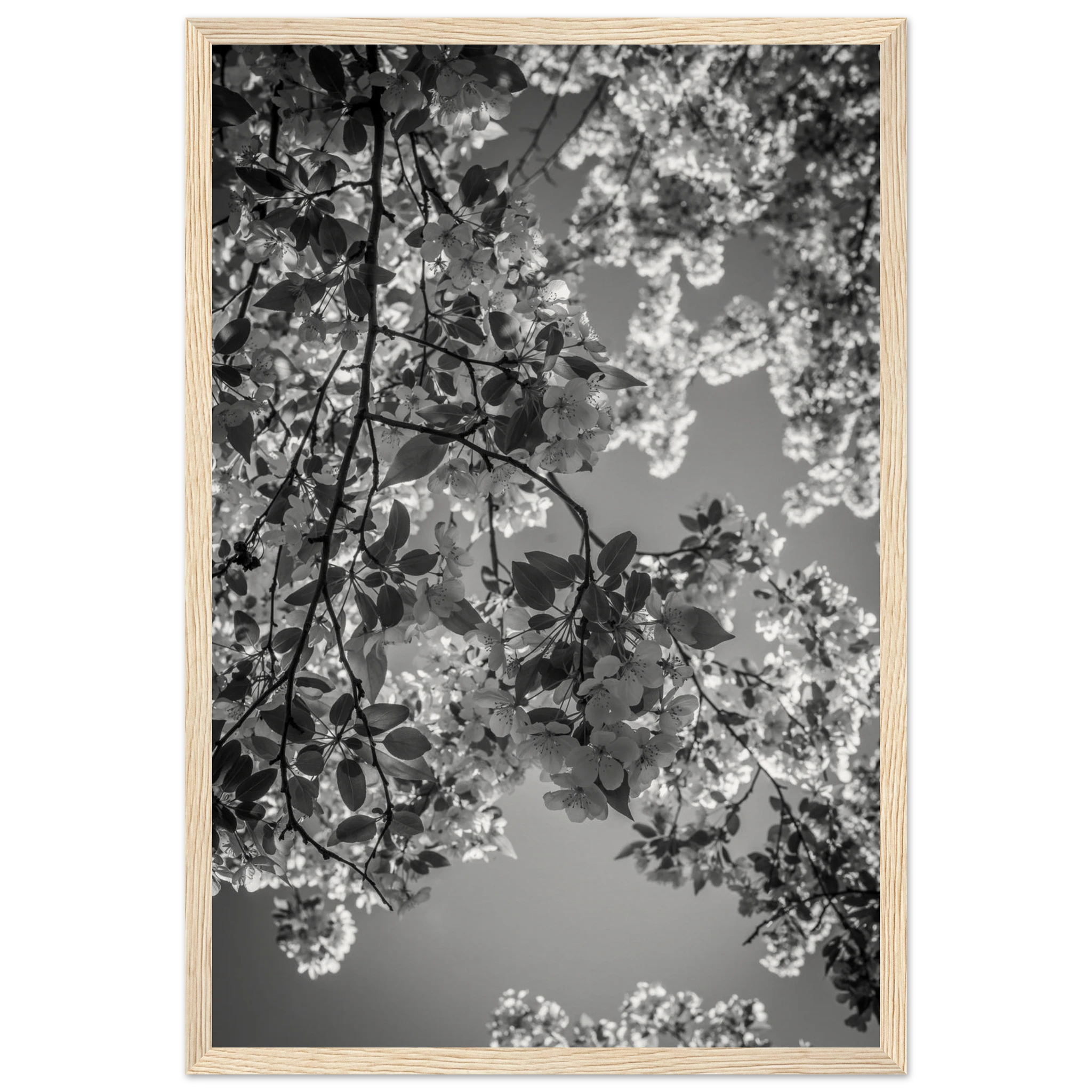 0c09f5bf-2431-4a2f-95c8-413b755635a1