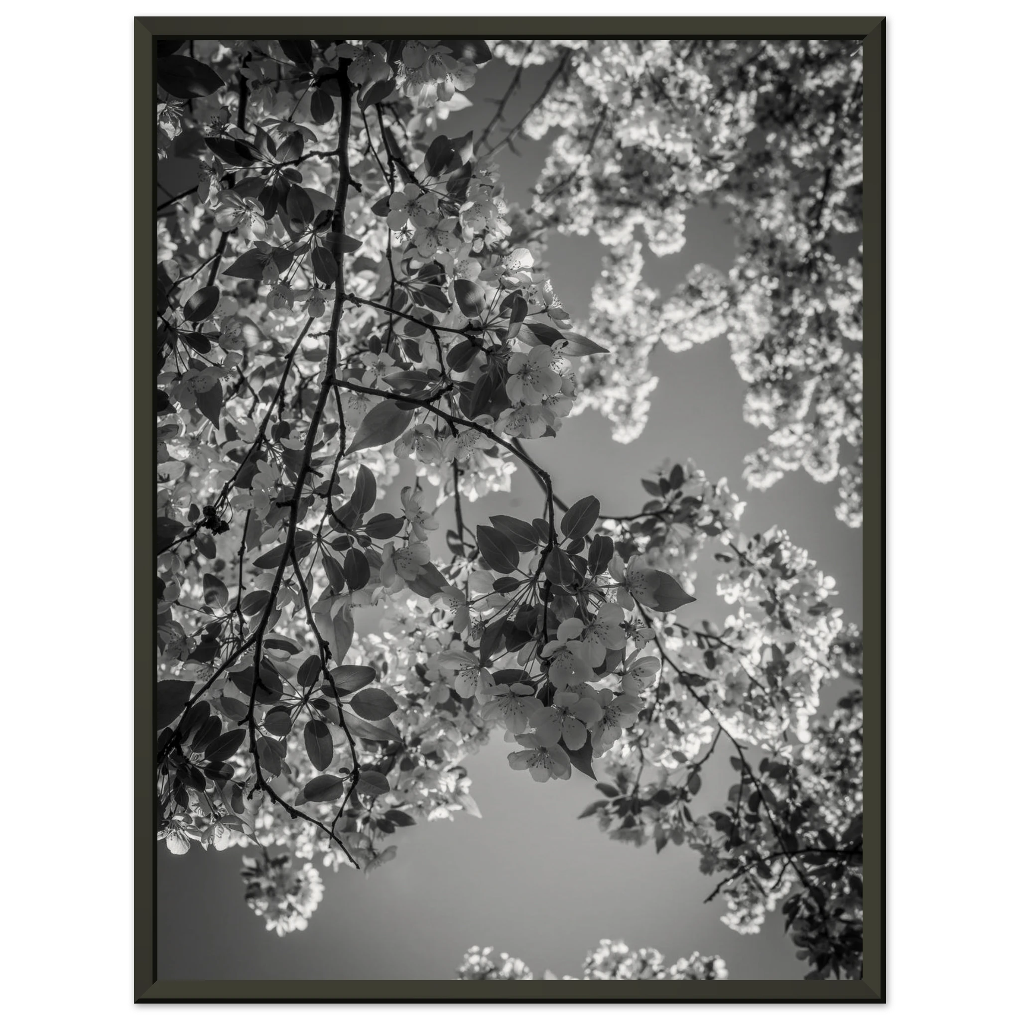 0c6bca80-3769-47eb-9c9c-1b428a31839a