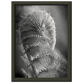 0caa8054-c7f3-4f6c-b174-208ee3d6bb1b