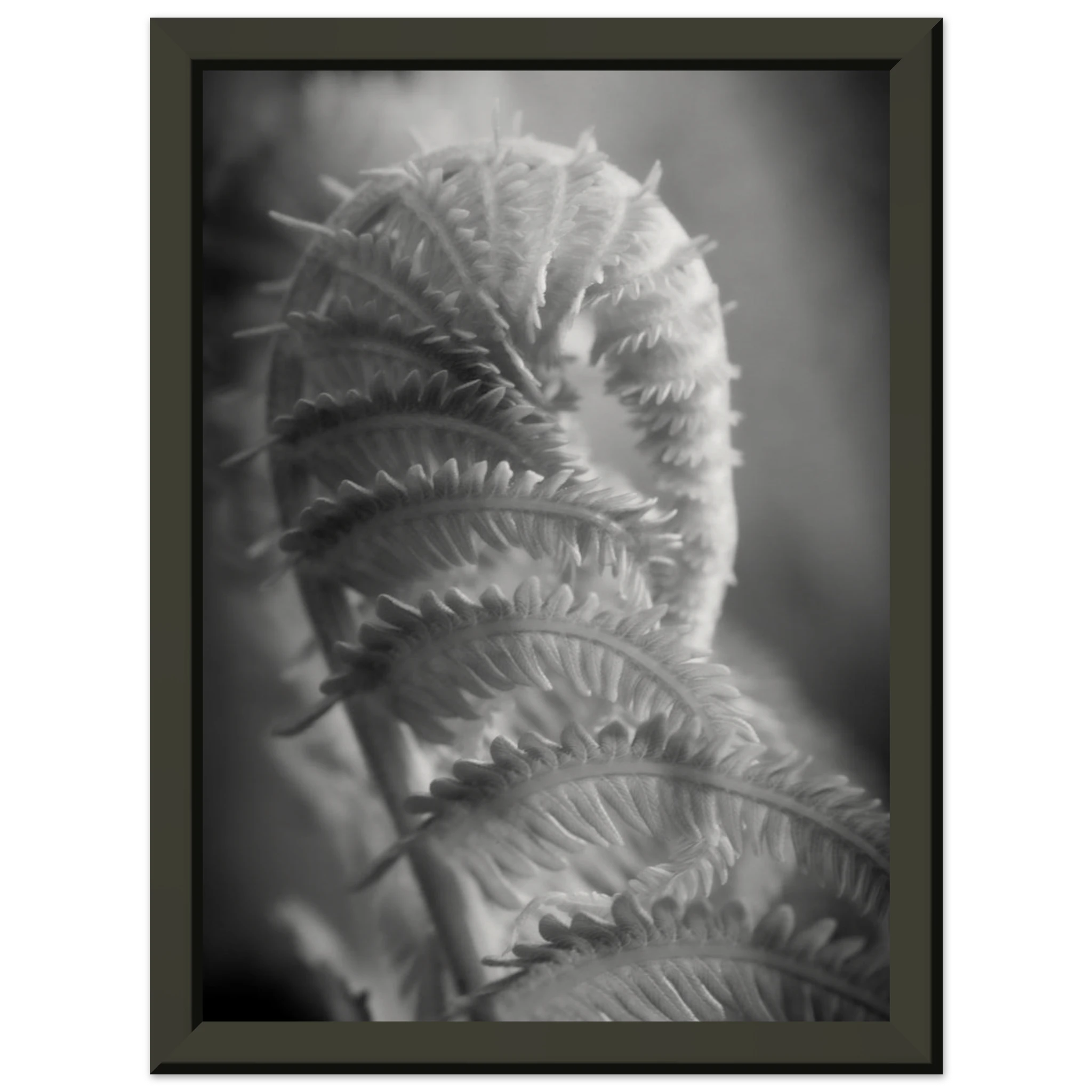 0caa8054-c7f3-4f6c-b174-208ee3d6bb1b
