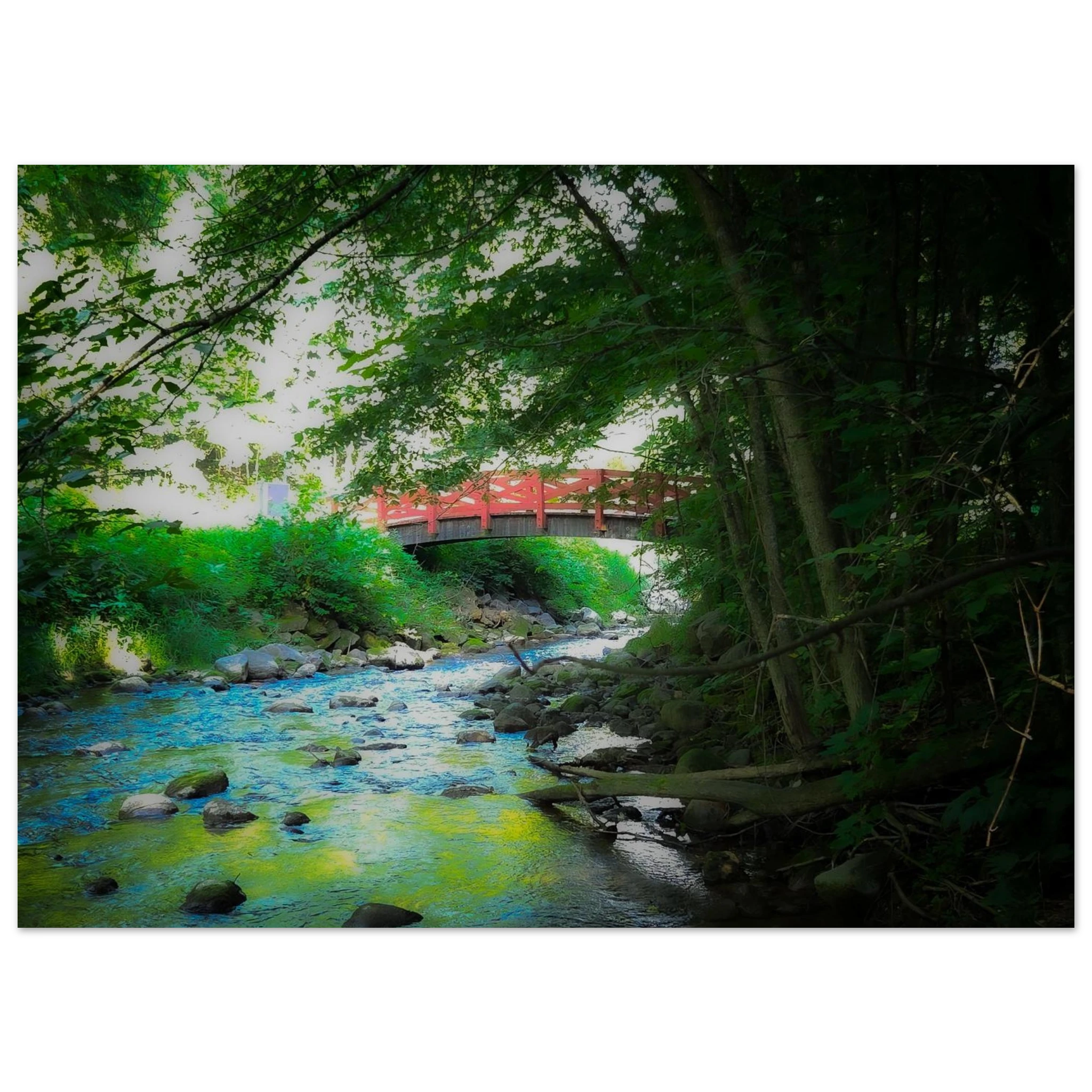 0d0a3fcf-2696-4305-849b-7a75f146ab7b