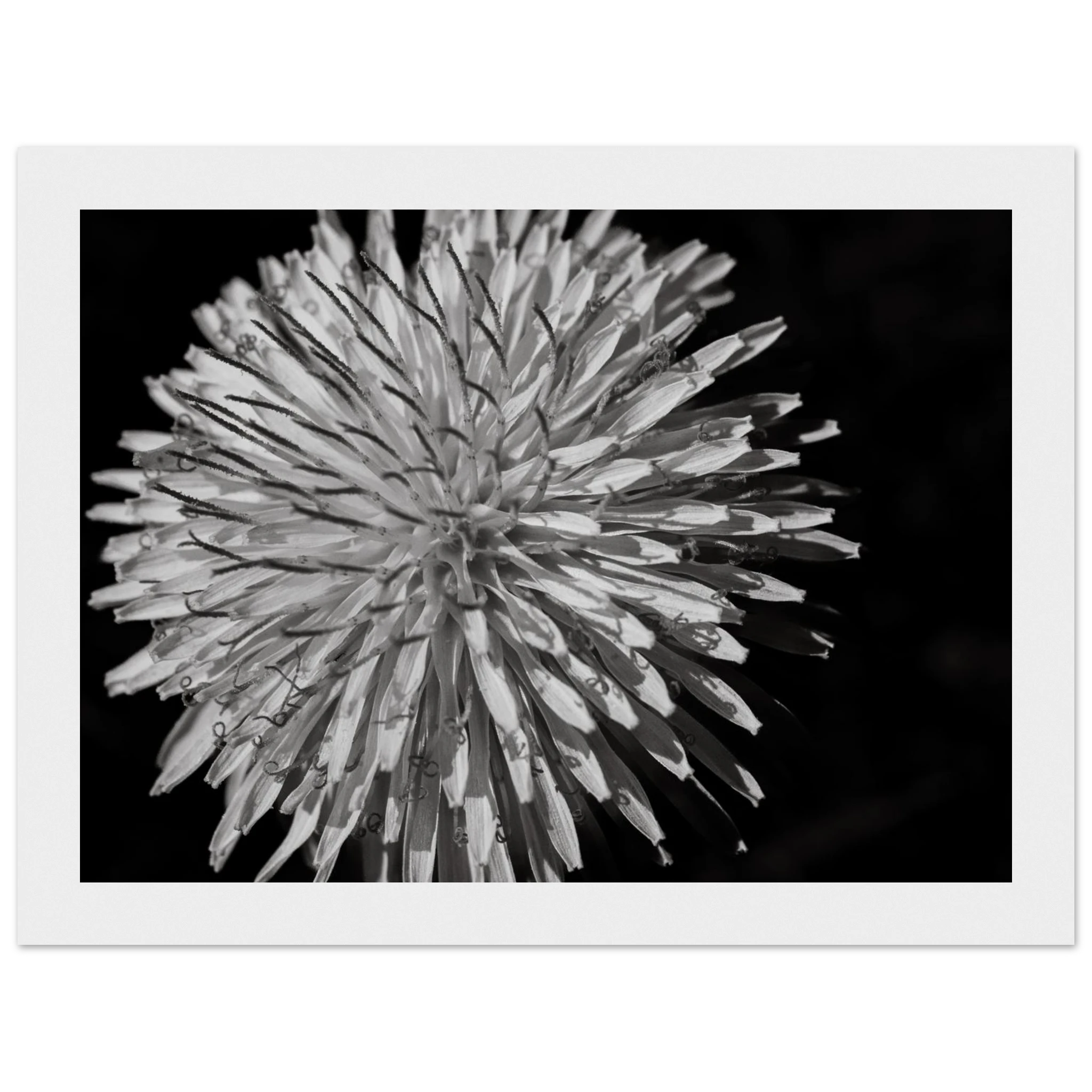 0d46f5a5-549e-4a12-bf23-f7d10183dea6