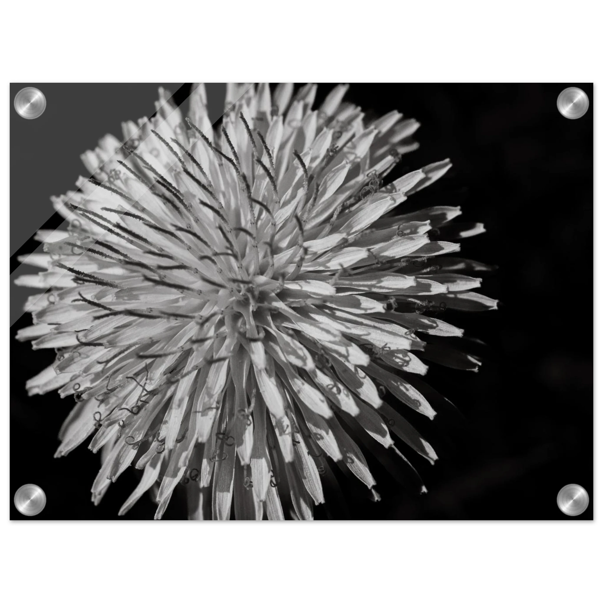 0d8029ca-8081-4c20-9902-b974790881be
