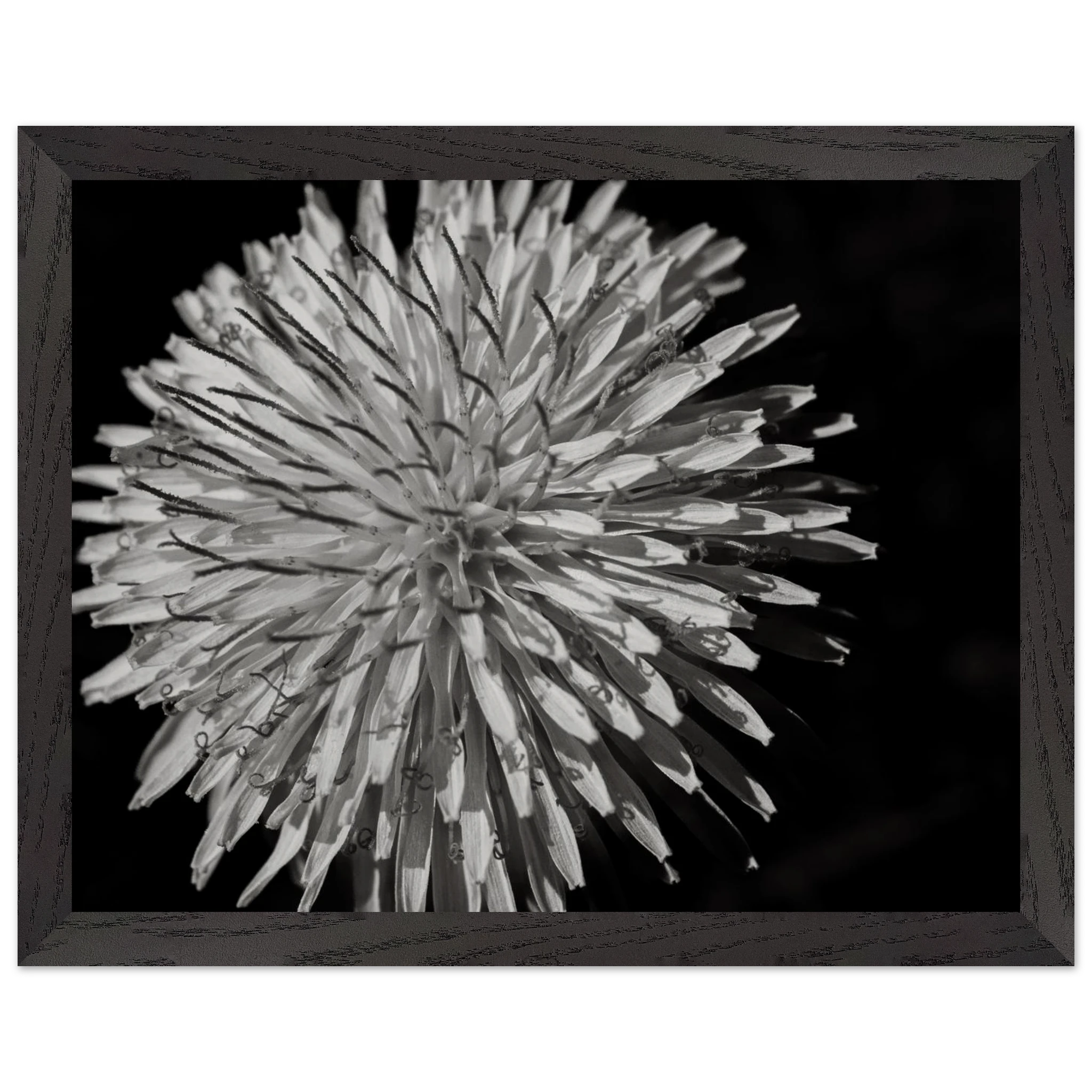 11338a37-380b-4cc0-9f49-93c454ccd102