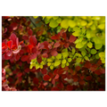 11938ee2-4012-47a5-a8a9-6fb77d3b2318