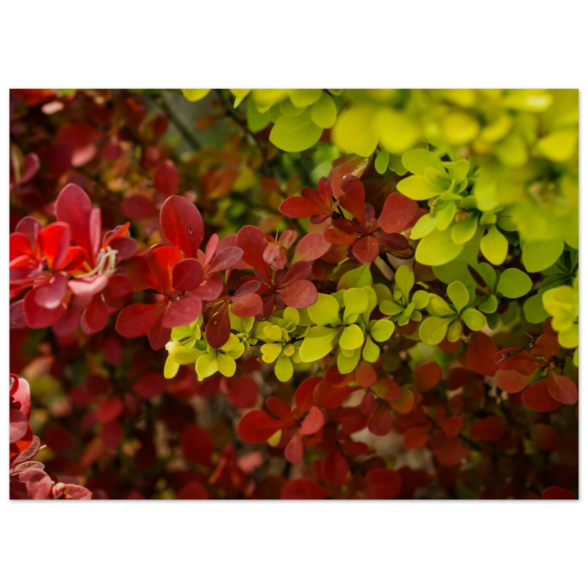11938ee2-4012-47a5-a8a9-6fb77d3b2318