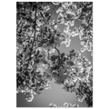 12e876c4-070e-487d-b3b4-4d05c33f6abb