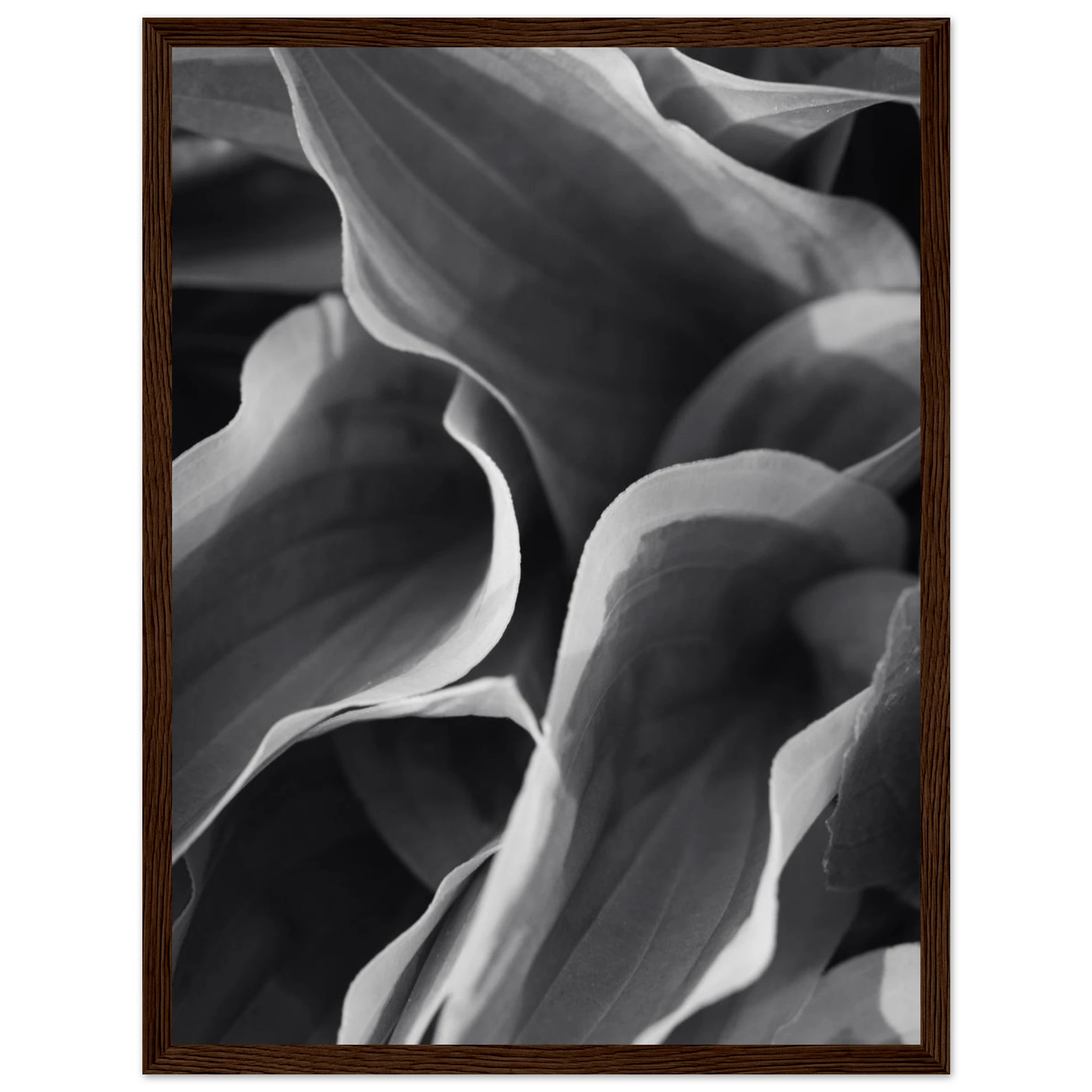 1392e1fc-5a58-4795-aa34-3886efffd2b3