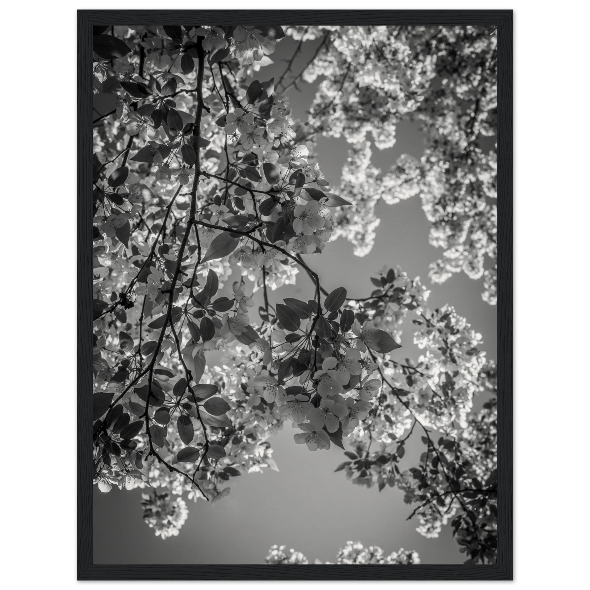 14298625-b2bc-4942-8442-5f6d2d9b8490