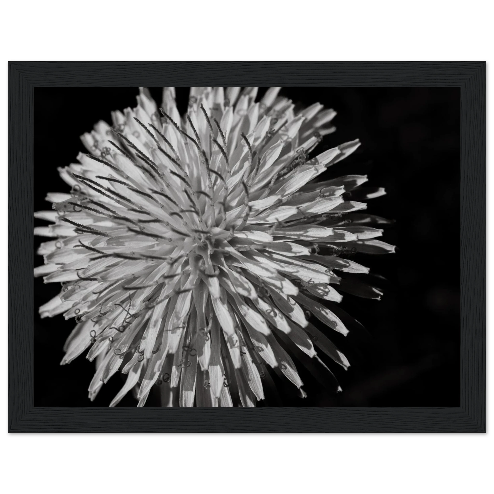 14fb9ab4-5655-4ce2-a567-b966d511b71d