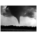 15430233-49bf-4c4c-a032-0fa1066afbfd