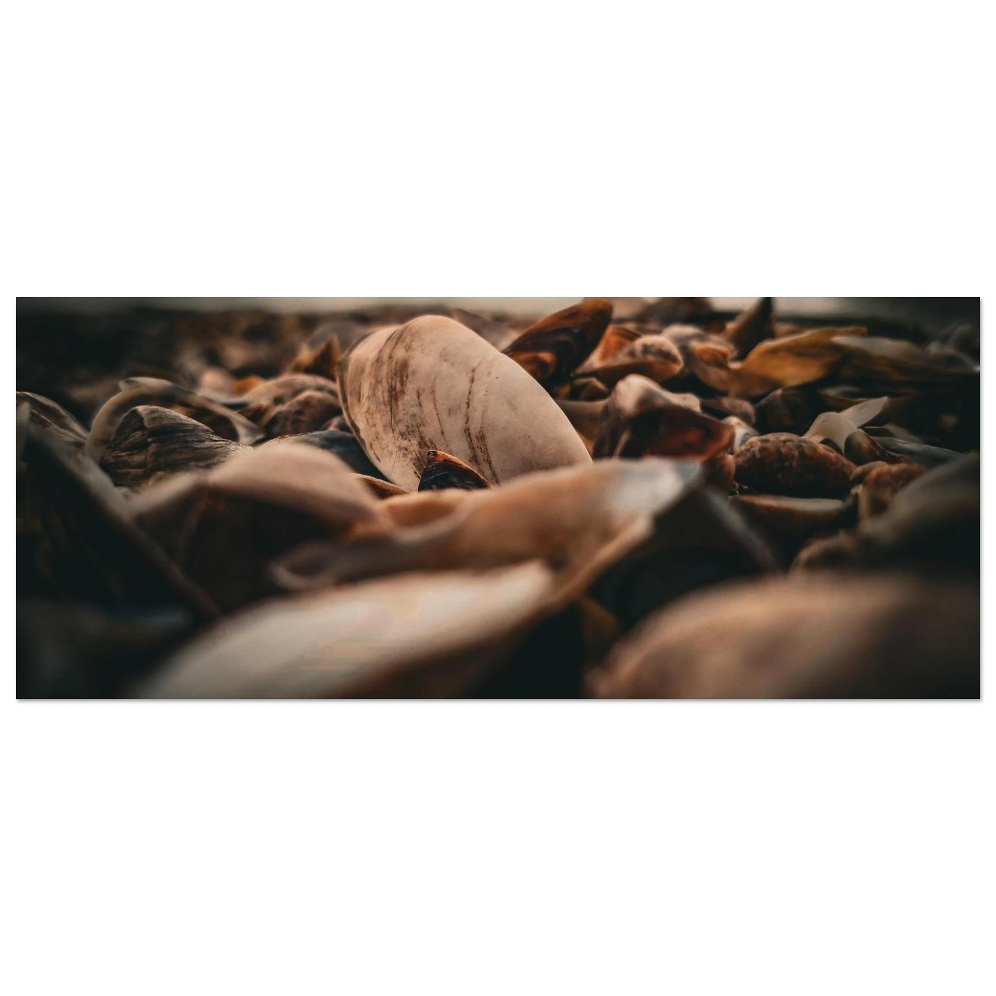 15afc0fc-ec3e-4135-992f-676c81d97896