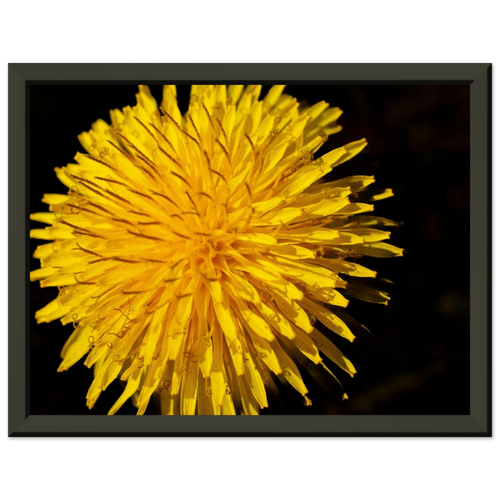 172d5656-0976-4a76-bf73-fbd1fc650f11