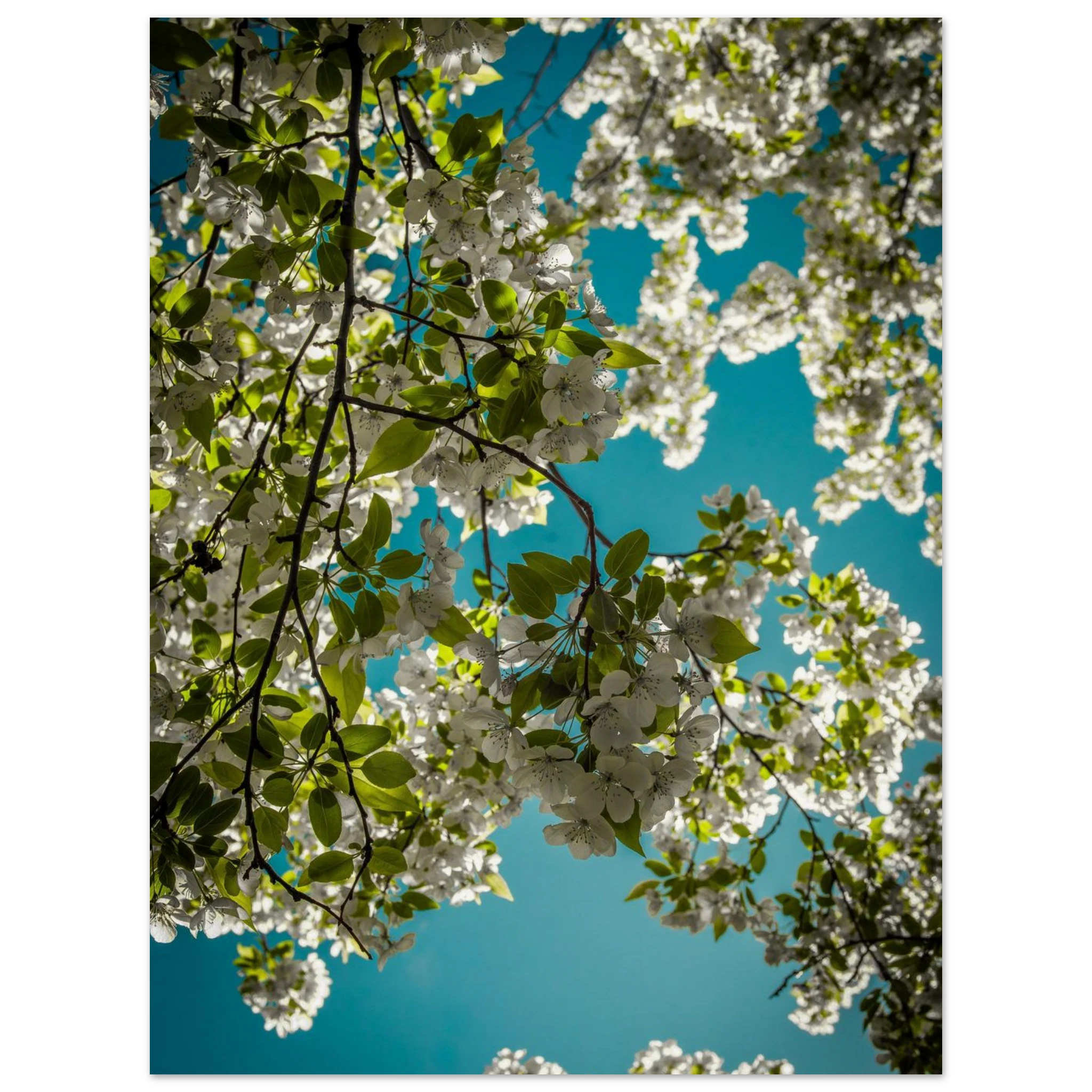 18ae5125-1451-4d3d-8d34-3eb6edfdd052
