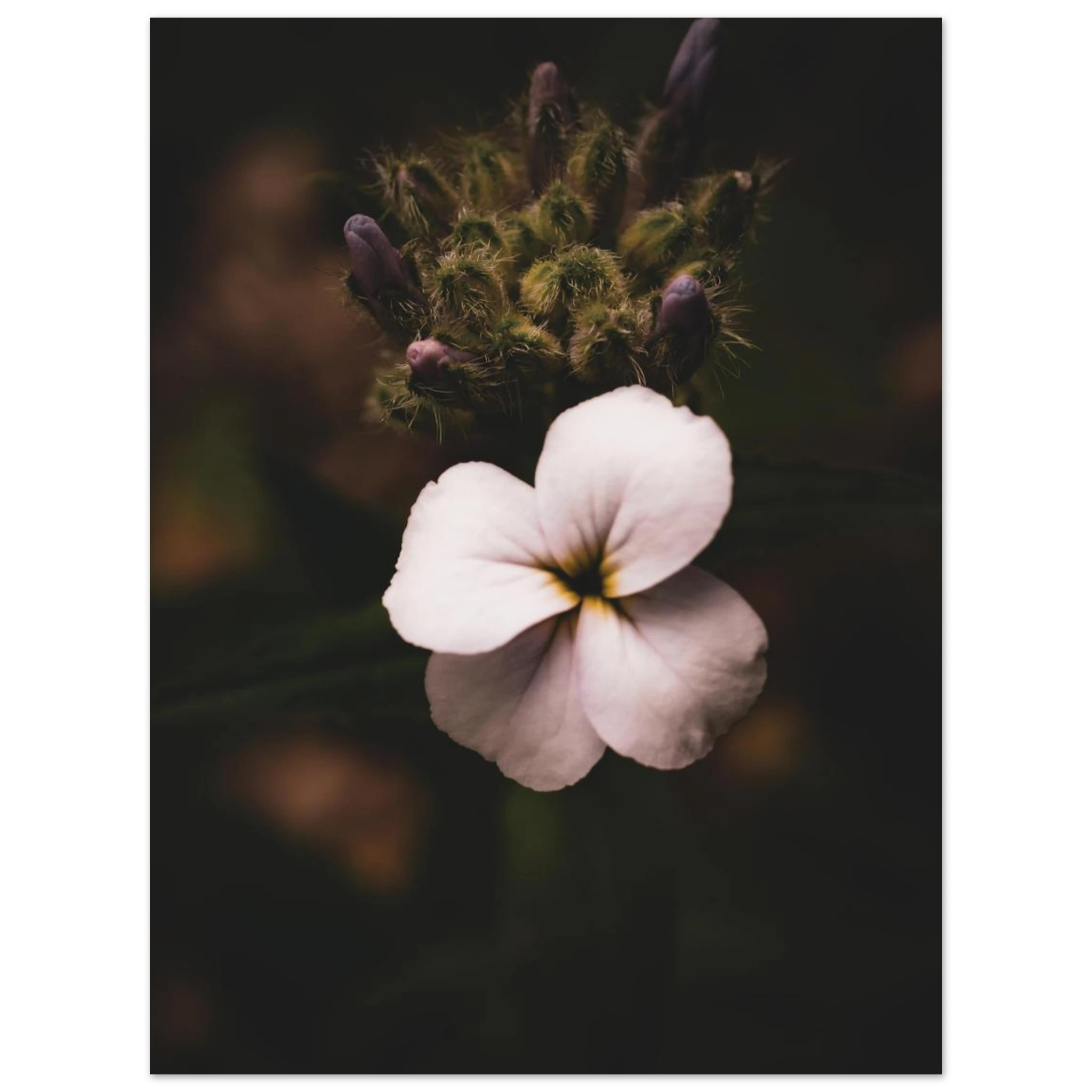 1906e8af-4579-4fab-8a53-2efe0b78d868