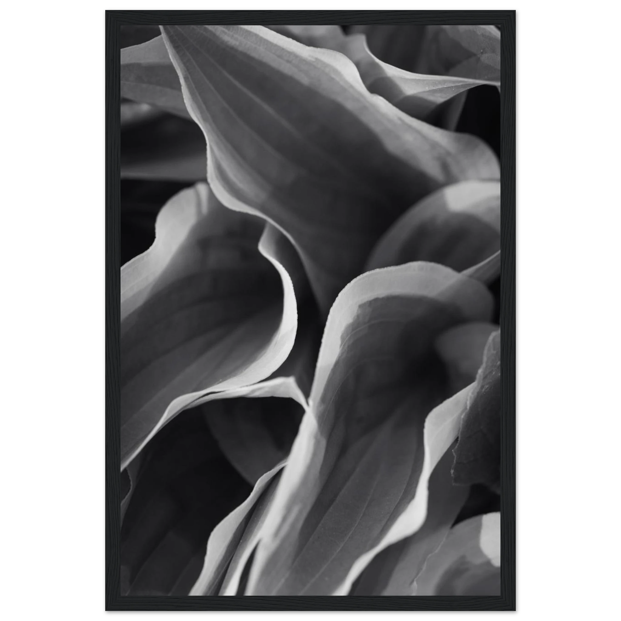 1a8e0502-cb06-44f1-85cd-16bda5b248b7