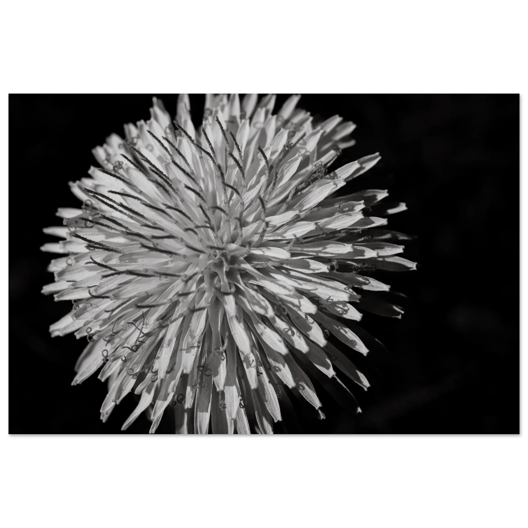 1c66a6d3-7992-4c2d-a2c9-32ce23ae7558