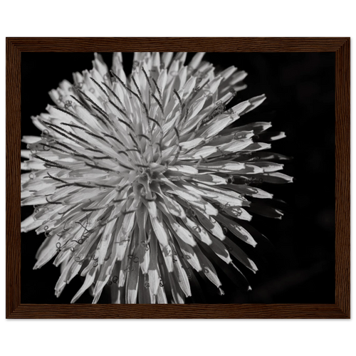 1fa320c9-227b-4502-a624-b6b70c0c8640
