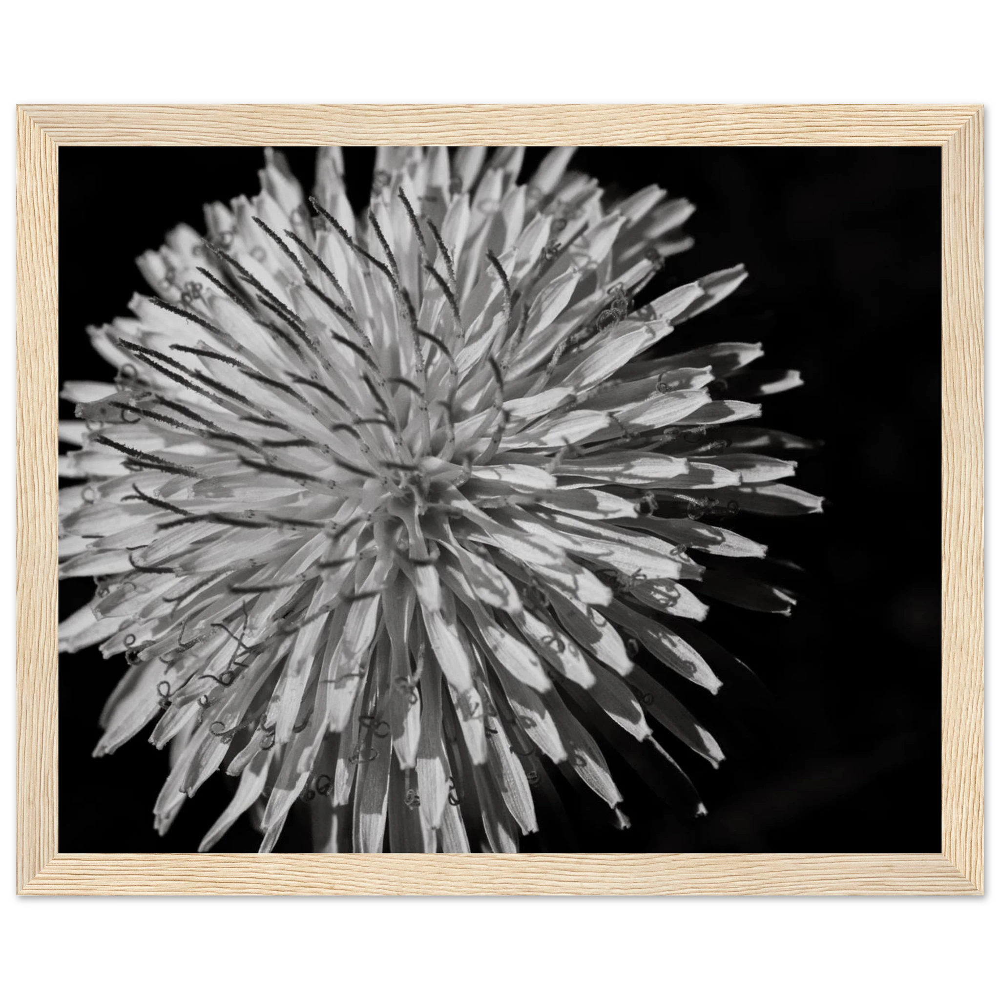 1ffdb799-79d4-4c1b-a2e6-d8fc6de91906