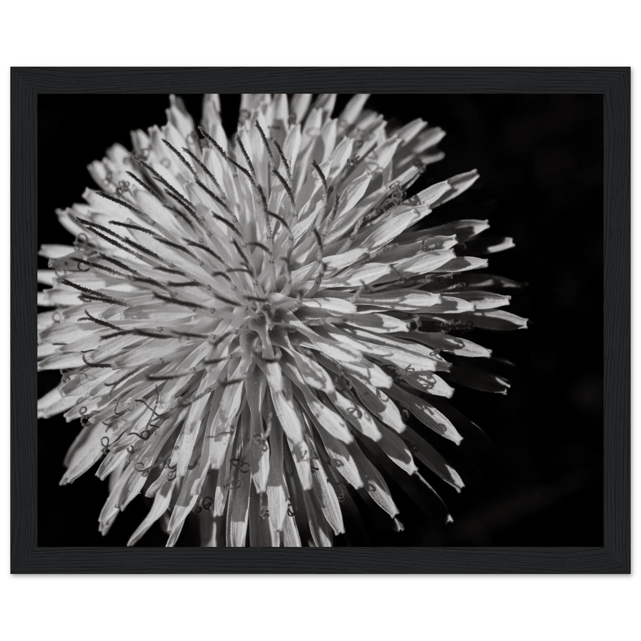 20a028c1-fe6f-4016-ae12-db414521963b