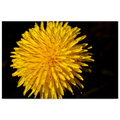 20cb16c4-6814-44ab-af10-051b42ec41a5