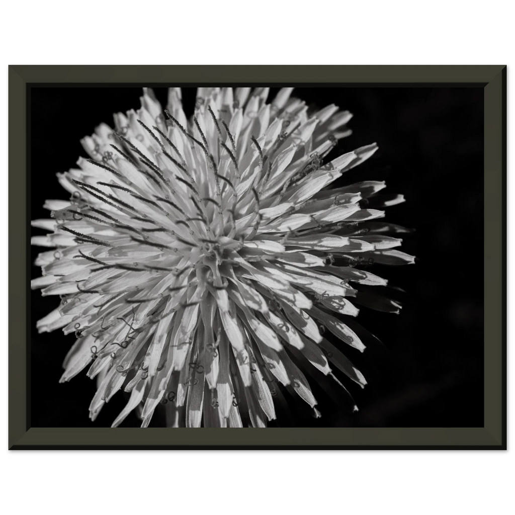 2294a7e9-c620-42dc-a826-f8a72fa4bbe8