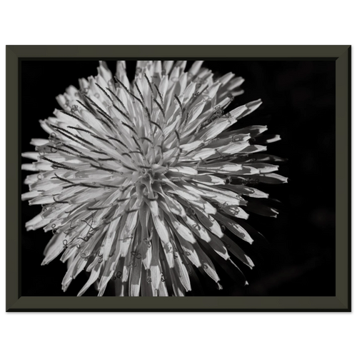 2294a7e9-c620-42dc-a826-f8a72fa4bbe8