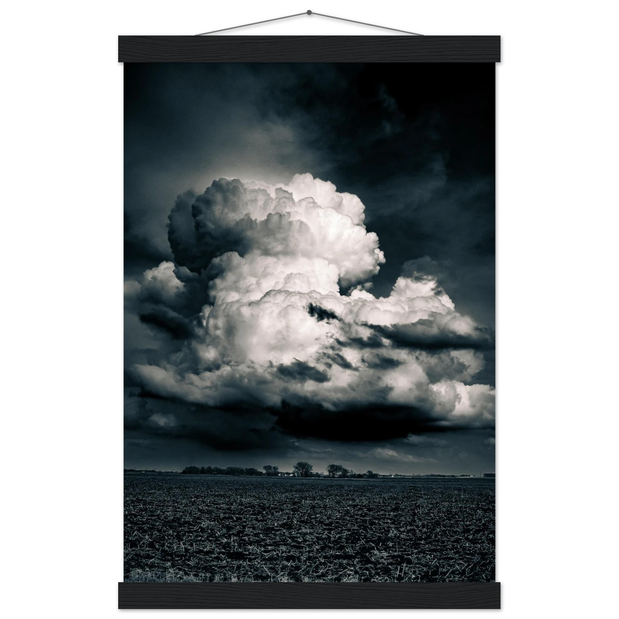 236567a3-0c4c-42fb-9bf1-c40f630446ae