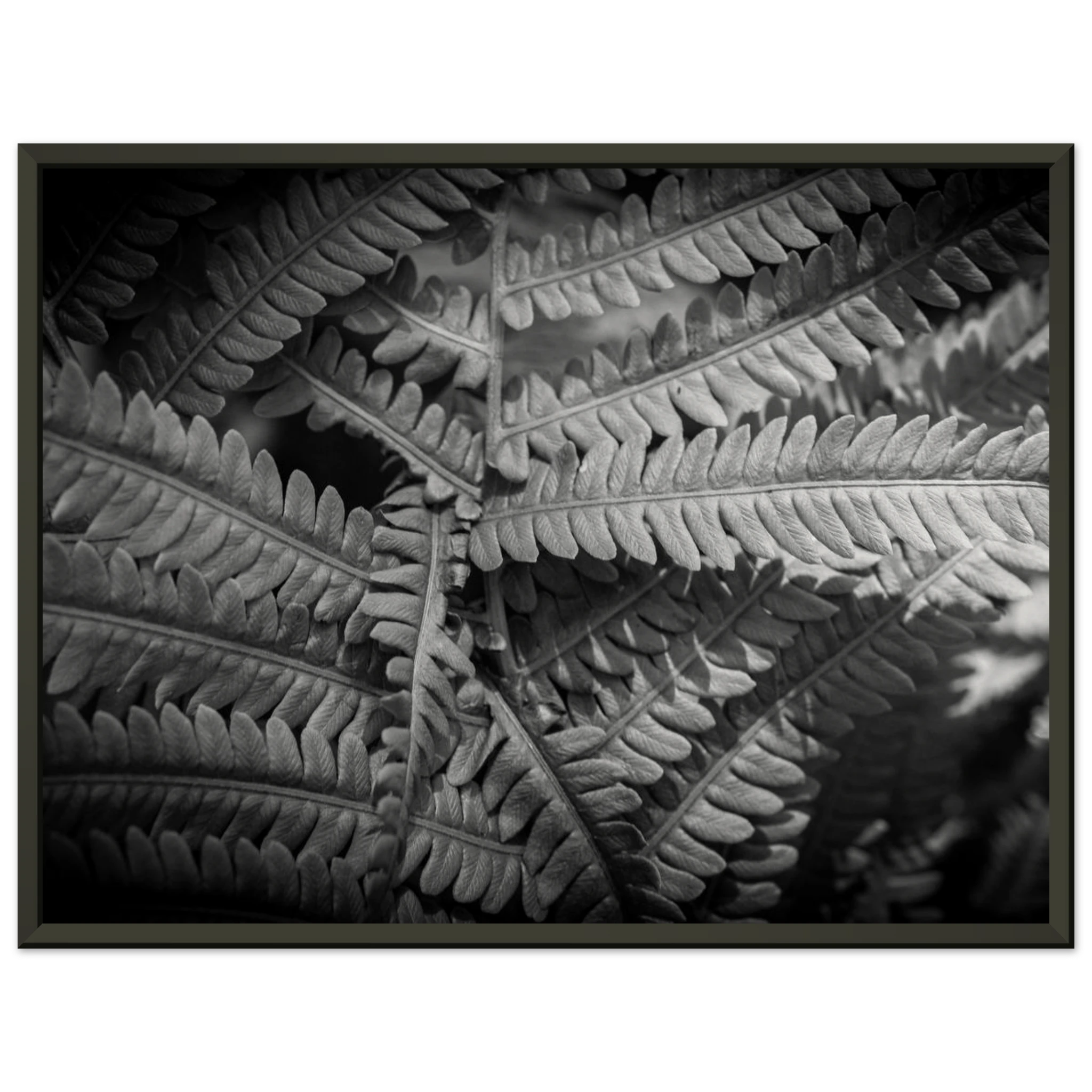2371739f-0f0e-4939-a098-9960780dbe36